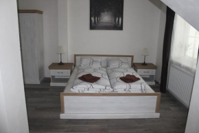 Отель Hotel Vesely  Железны Брод
